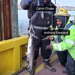 Meet your Posher, Anthony